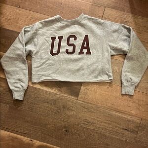 Brandy Melville Gray Cropped USA Sweatshirt